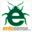 Entosense