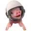 Moonpig